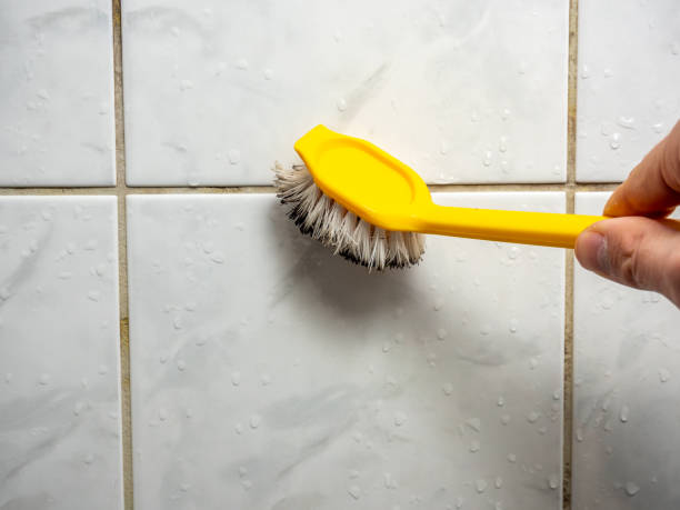 Best Mold Removal and Inspection  in Miramar, FL